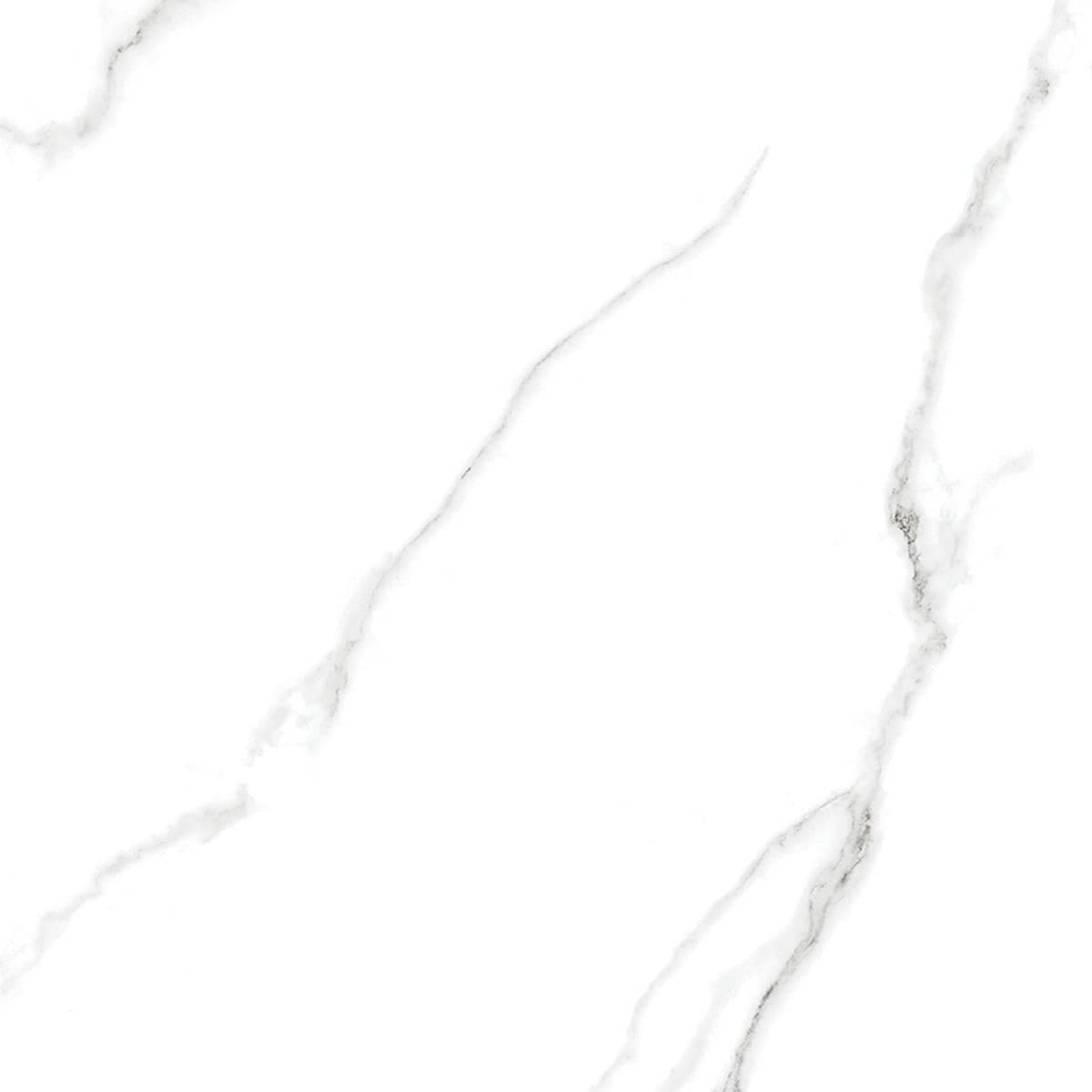 CALCATTE SPIN