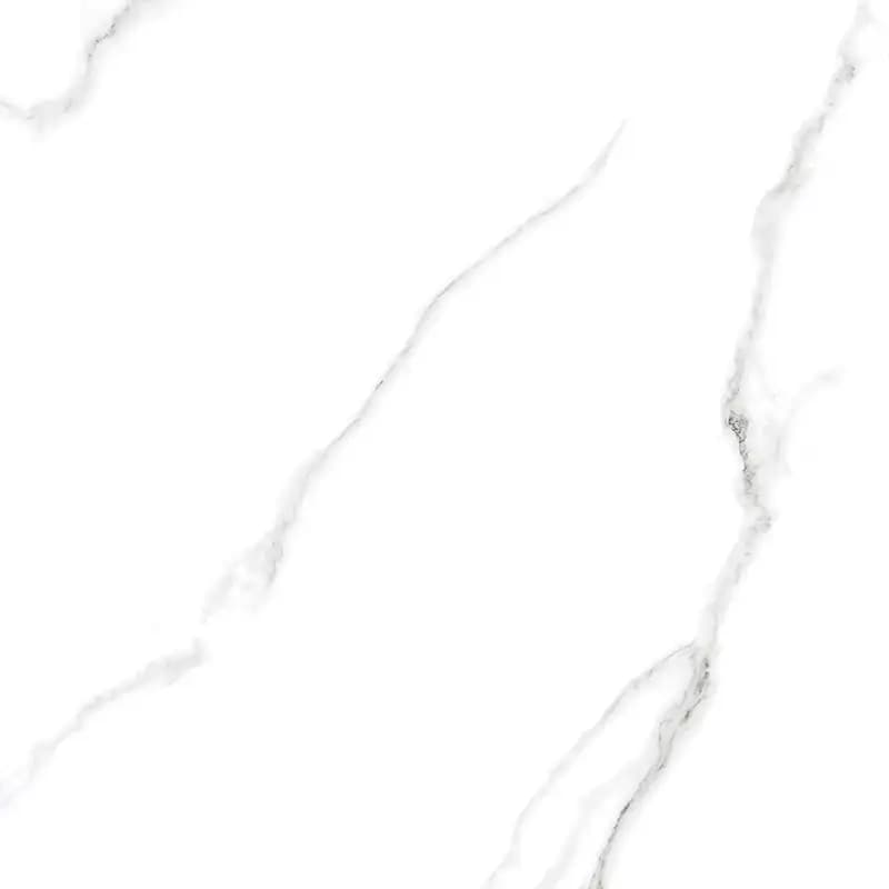 CALCATTE SPIN
